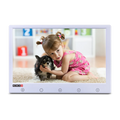PR-IPS10-W 10.1" standalone LCD Monitor with IPS panel HDM1