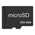 256GB MICRO SD C10