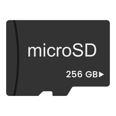 256GB MICRO SD C10