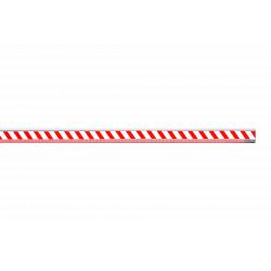 Centurion Traffic Barrier SECTOR II Boom 3m 316SS incl Loop Det + Pole